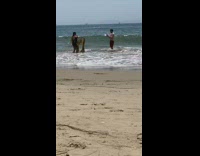 Woman black bikini kelp plants pictorial beach