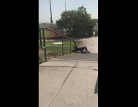 Guy tries to skate down railing with inline skates 