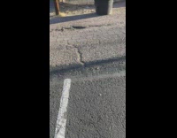 Little Bird is Set in a New Nest 