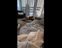 Dog excited to see owner after daycare