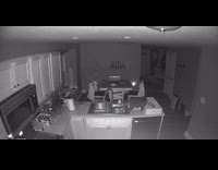 Cat jump push box from countertop footage