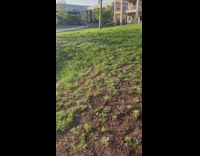 Stick float in the air spider web