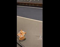 Guy tries to pole vault but the pole releases 