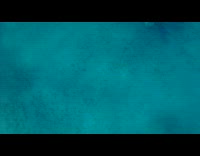 Sea cow swim with five small fish