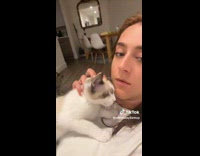 Cat sucking womans earlobes 
