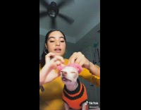 Little dog pink scrunchie hair tie 