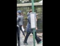 Lady holding black chicken crosses street 