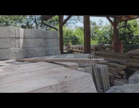 White butterfly balances on the plywood stick