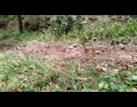 Guy on bicycle jumps lands on feet