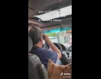 Guy uses binoculars to look at menu