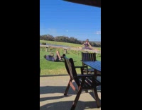 Girl does splits on wooden railing vineyard 