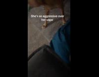 Dog aggressively taking back toy plushie