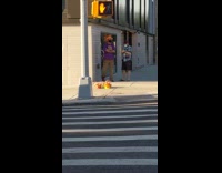 Purple shirt guy orange hat with sticks 