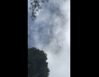 Clouds up in the mountain moves fast