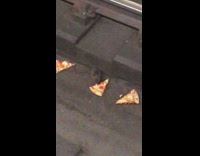 rat on subway rails with three pizzas