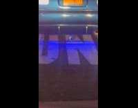 Collab WINY - Blue car on road with license plate that reads DZZZNUTS