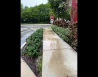 Car parked on handicap ramp on sidewalk