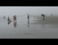 Three women bikini twerk hazy beach seaside
