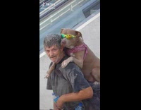 Dog on back of man drinking water with sunglasses 