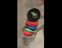 Dog sombrero and poncho up for treat