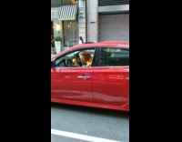 man red car orange maracas 