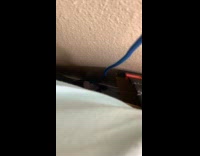 Kitten Holds Down Charger End Under Bed