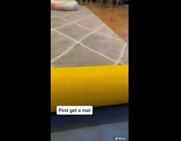 Pug dog wearing red shirt exercises 