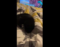 Cat having zoomies on bed 