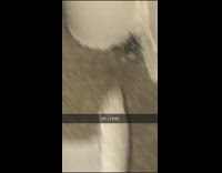 Ur lying black spider has babies house