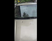 Angry neighbor tells driver to fix car alarm 