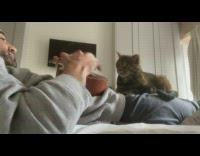 Man play ukulele while cat is on him