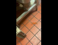 Guy talk and show mouse at workplace