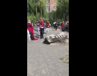 Group of spidermans meet at the park, one climbs big rock