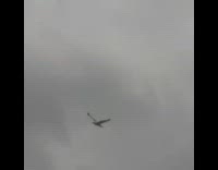 Collab BitchIG2 - Seagulls eat cheese cheetos dropped on sidewalk 