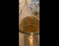 Vertical stream of bubbles from ginger ale