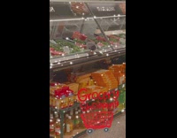 Pigeon at a meat counter grocery store