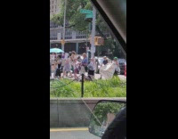 Protest on the street with some people wearing animal heads