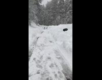 Huge pile of snow cover parked cars