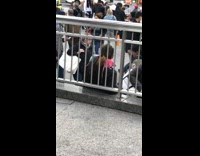 man has three colorful rats on shoulders