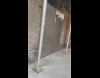 Person in Bird Clown Costume Walks Down Sidewalk 