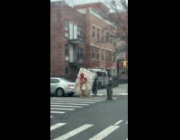 Woman walks with mattress tied on back