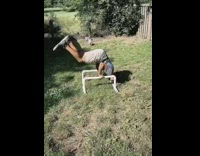 Guy attempts handstand on white pipes fail