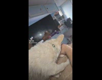 Dog bites woman hand while playing game