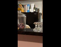 Dog stand and peek over kitchen counter