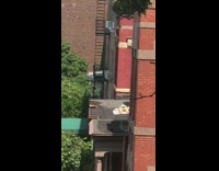 Lady sunbathes on roof 