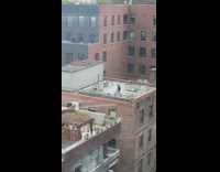 Guy chases dog around apartment rooftop 