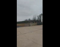 A bunch of birds flying looks like a cloud