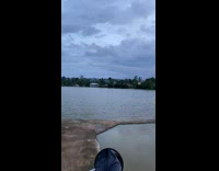 Collab BitchMP - Woman drives on narrow road 