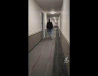 Cat in apartment hallway off leash runs 