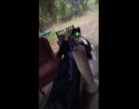 Collab Clips MPUGC - Witch Halloween decoration eyes light turned off